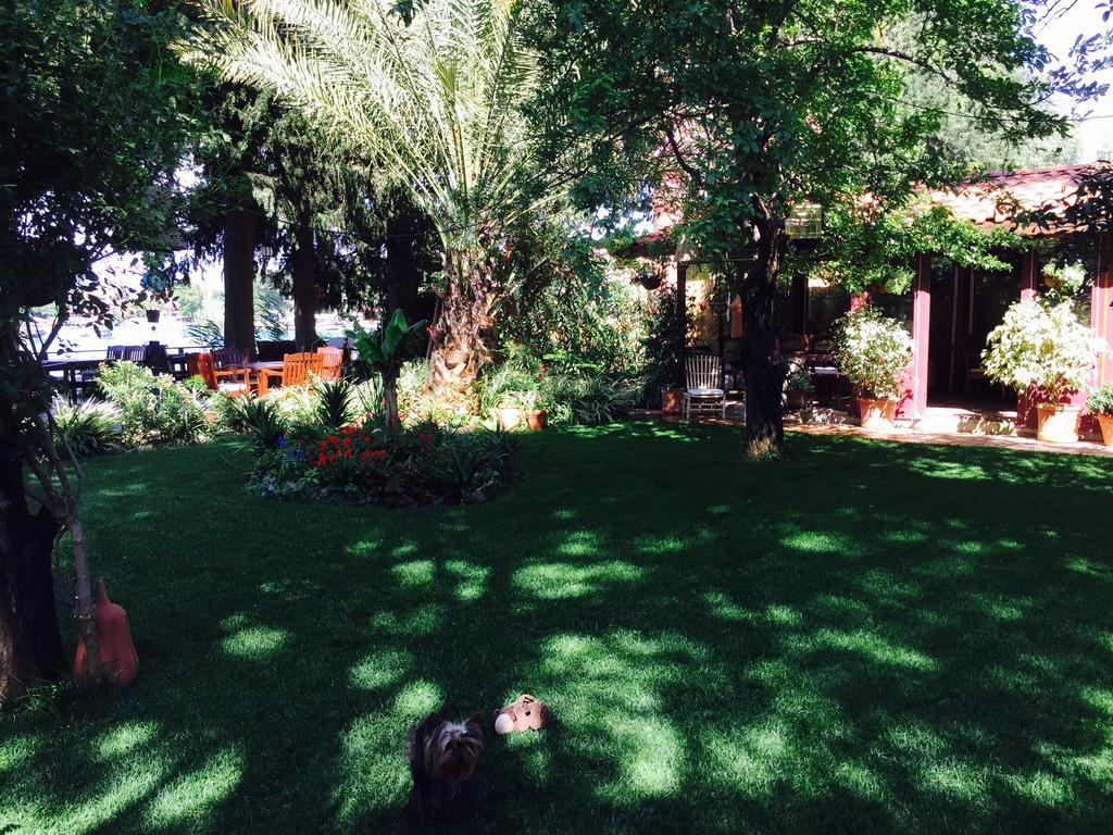Hotel Happy Caretta Dalyan Exteriér fotografie