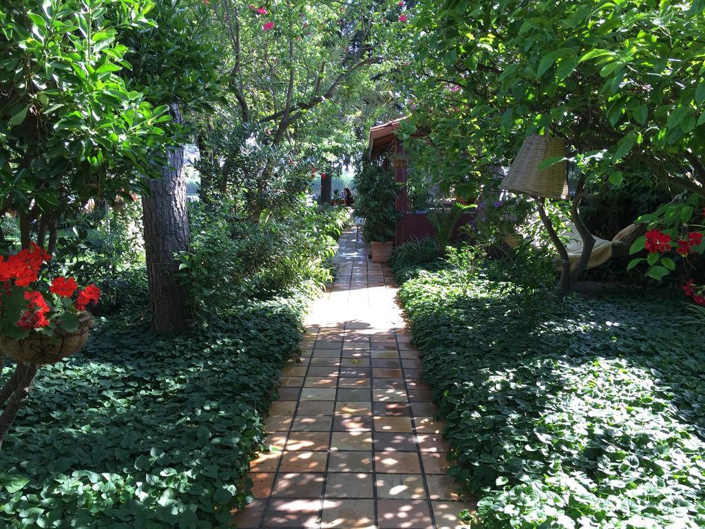 Hotel Happy Caretta Dalyan Exteriér fotografie