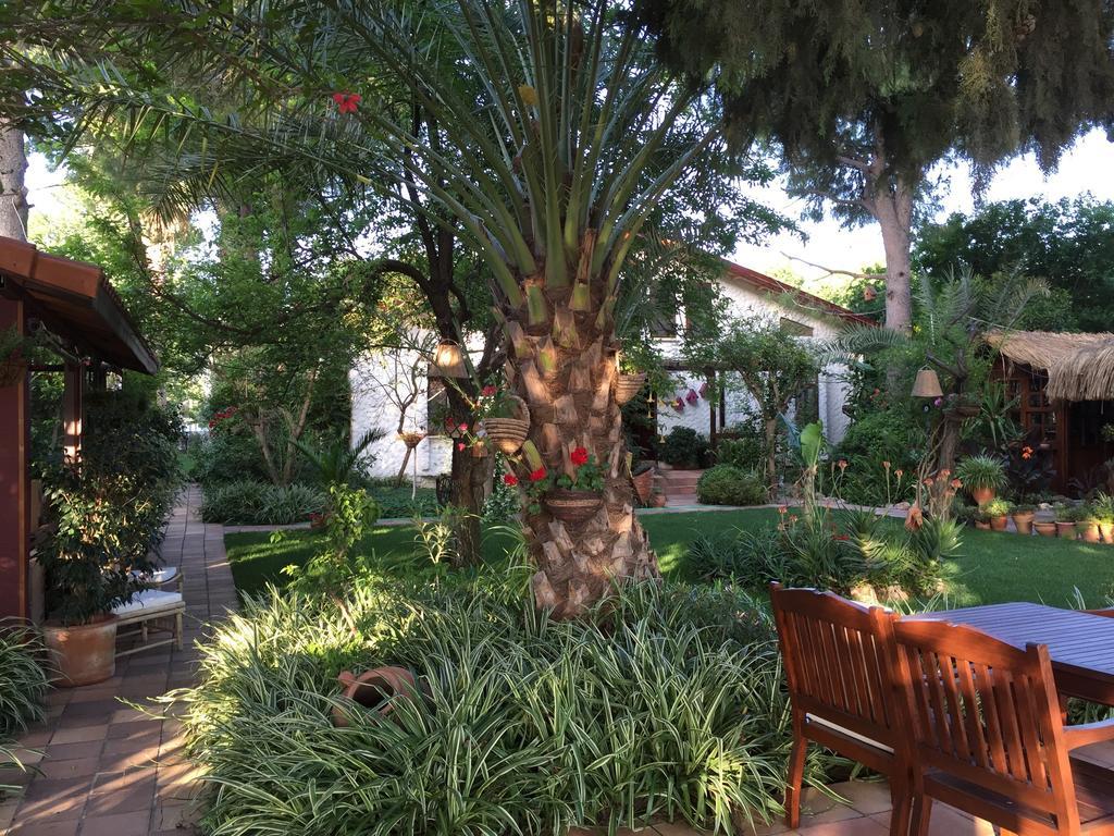 Hotel Happy Caretta Dalyan Exteriér fotografie