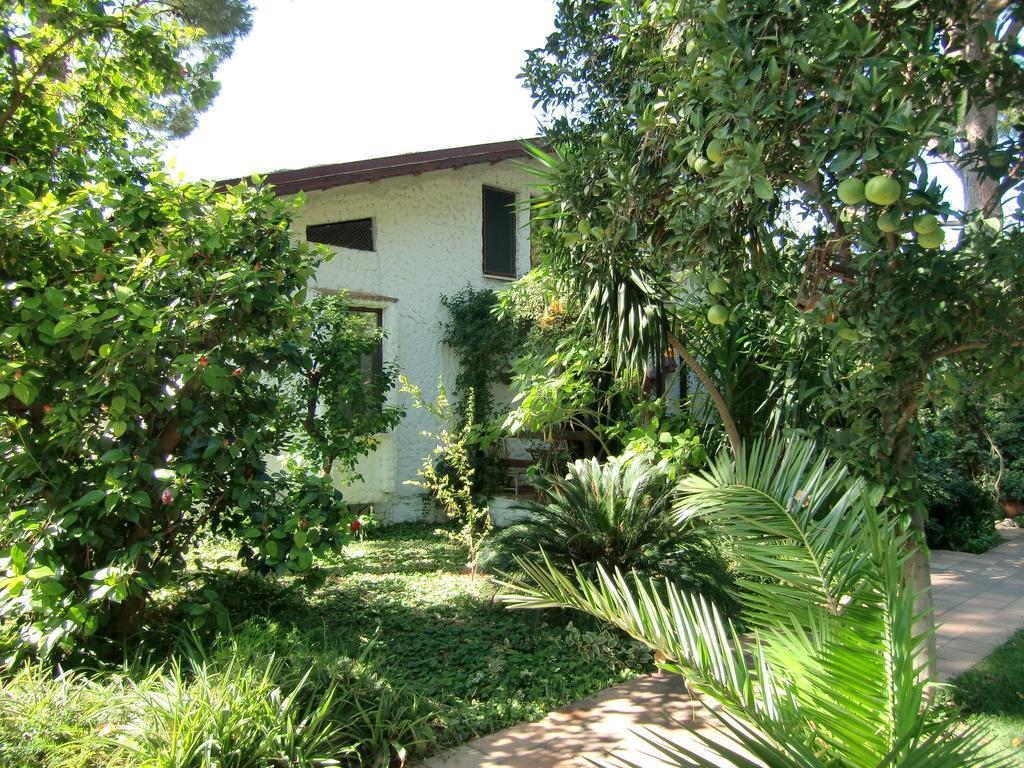 Hotel Happy Caretta Dalyan Exteriér fotografie