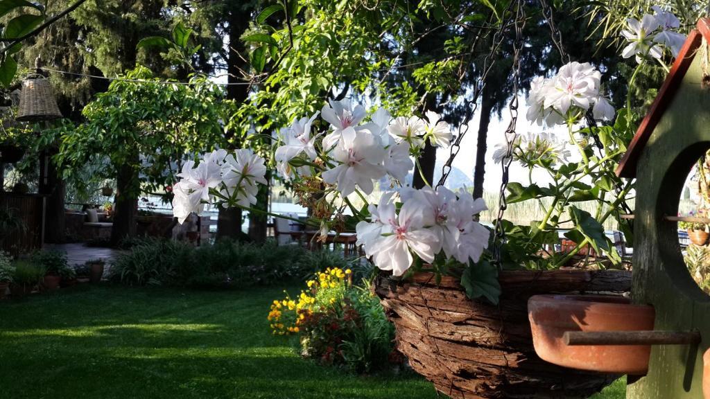 Hotel Happy Caretta Dalyan Exteriér fotografie