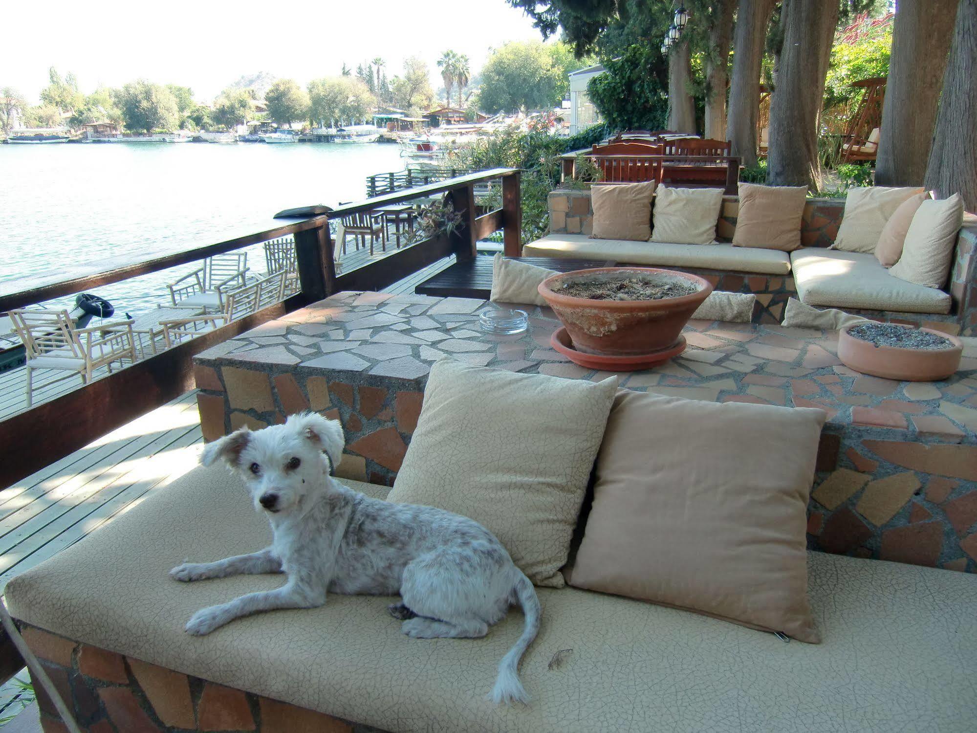 Hotel Happy Caretta Dalyan Exteriér fotografie